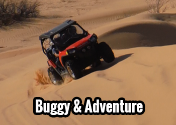 Buggy & Adventure